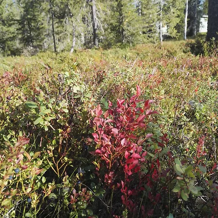 Rukankarhu Ruka